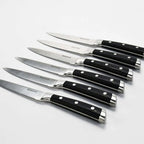 Barenthal 6pcs/set Steak Knives, Stainless Steel Serrated Steak Knives, 4.8-inch Serrated Steak Knife with Storage Case